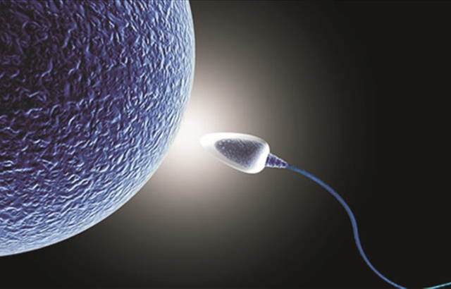 Cep telefonundan sperm testi!